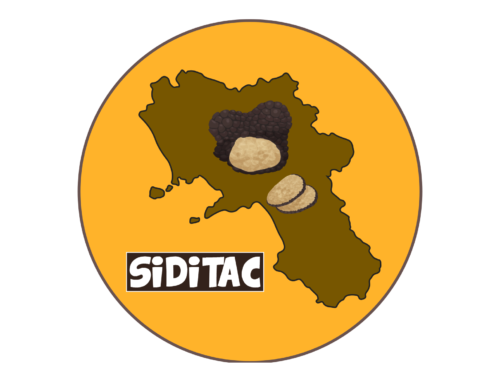 Progetto SIDITAC – chiusura bando – elenco domande pervenute